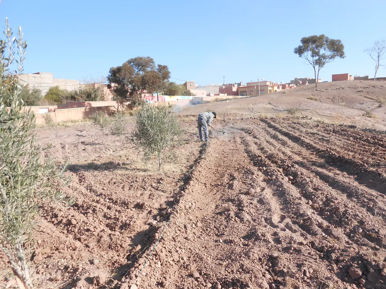Proyecto de creación de un huerto en la escuela de Asmaa.